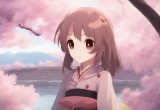 樱花视频,樱花视频，赏樱盛宴中的视觉与情感交融