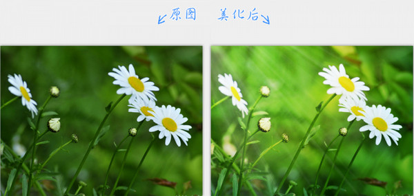 2345看图王最新版下载 2345看图王截图